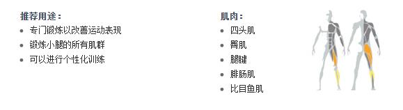 广州草莓直播在线观看免费播放高清健身器材