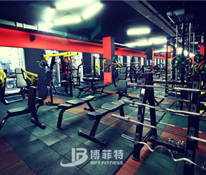 格鲁吉亚客户健身房图片 草莓直播在线观看免费播放高清健身器材案例展示