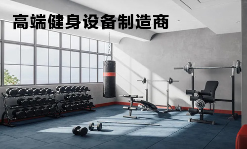 高端健身设备制造商：科技与健康的完美融合