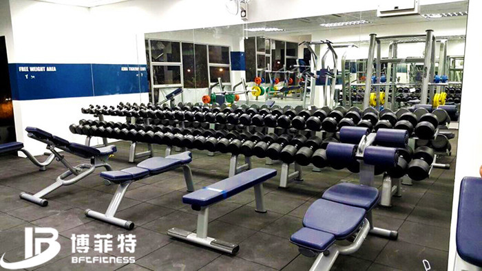 马来西亚客户健身房案例 广州健身器材草莓视频色版APP批发
