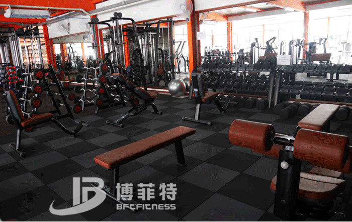 草莓直播在线观看免费播放高清健身器材案例 泰国客户的健身房图片