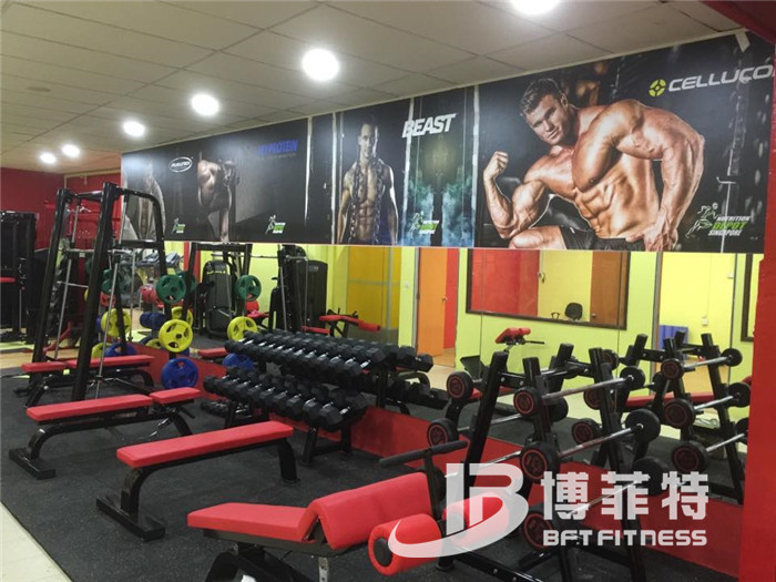 草莓直播在线观看免费播放高清客户健身器械