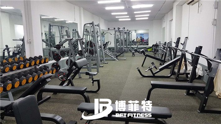 草莓直播在线观看免费播放高清案例