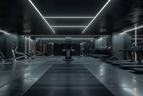 健身器材出口型草莓视频色版APP：引领全球健康风尚的制造力量